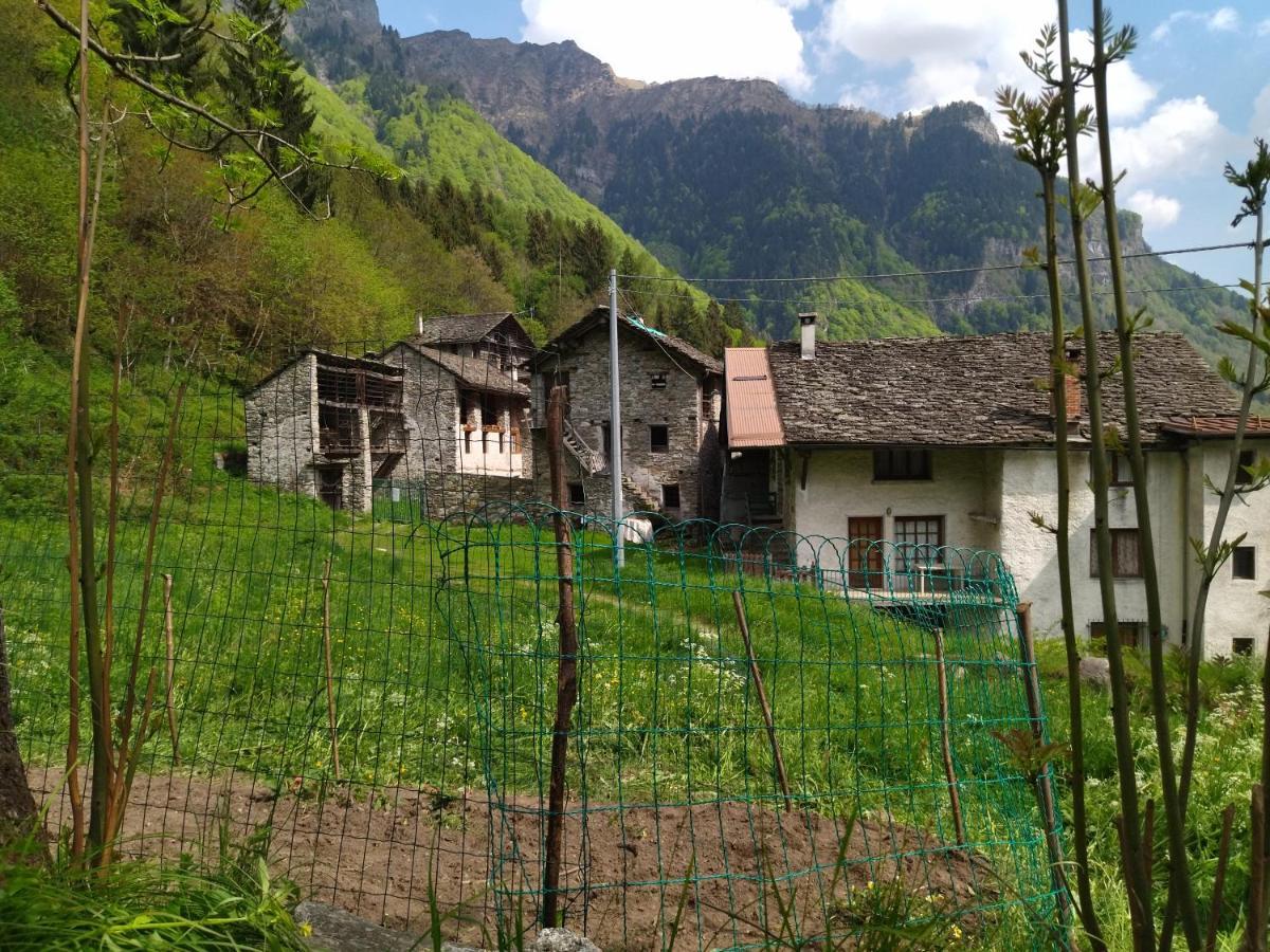 Il Fiume Di Fianco. Appartamento Alta Valsesia Mollia Exterior foto